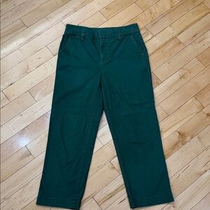 Women’s Loft Dress Green Pant, High waisted